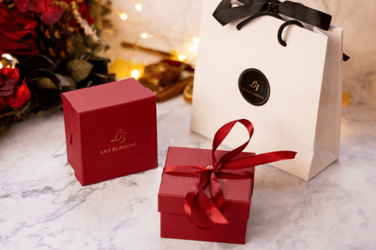 Lily Blanche gift bag, jewellery as a gift ideas