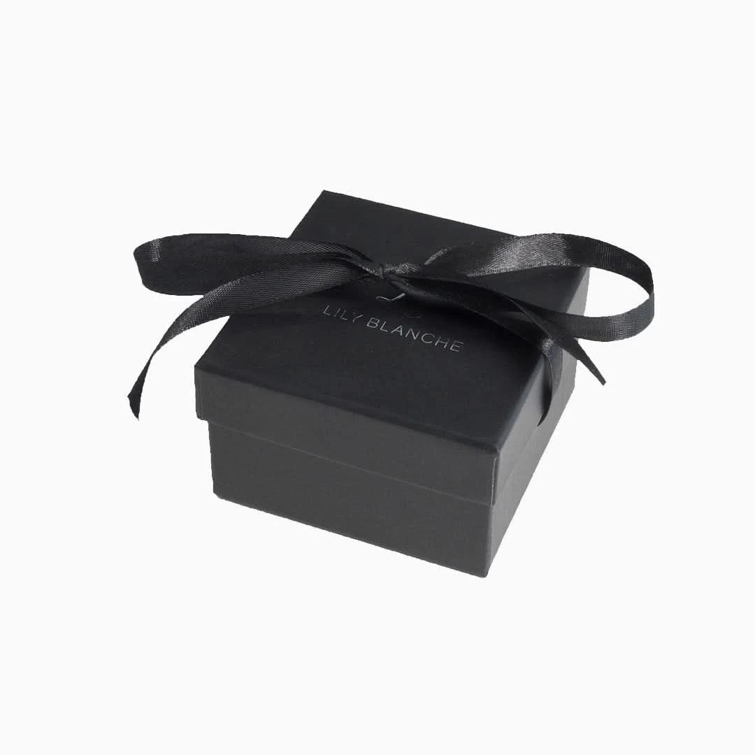 image of a ribbon tied black gift box on a white background
