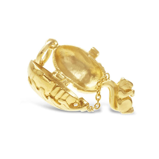 opened magical squirrel charm on a white background