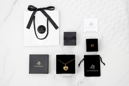 lily blanche jewellery care kit