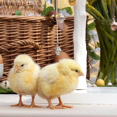 Easter Gifts