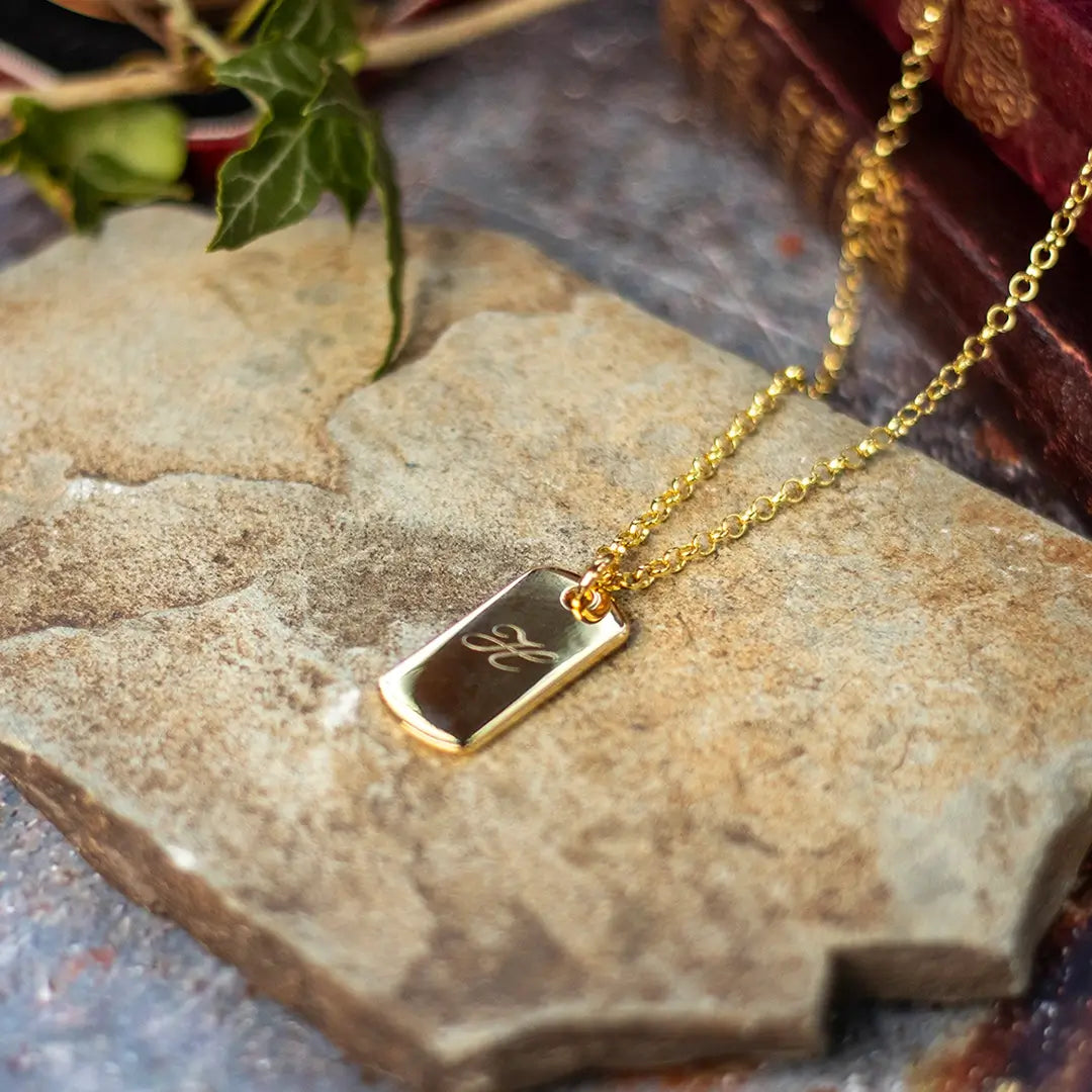 Gold dog tag pendant necklace with engraved initial resting on a textured stone surface with books and foliage in the background