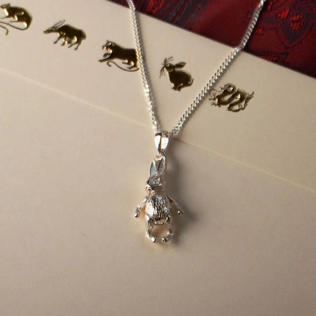 Sterling silver rabbit pendant necklace on gift envelope with animal illustrations, delicate Easter jewellery gift