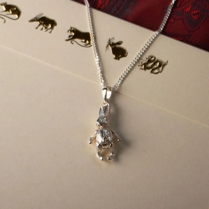 Sterling silver rabbit pendant necklace on gift envelope with animal illustrations, delicate Easter jewellery gift