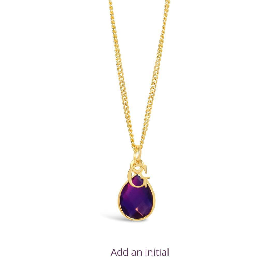 Amethyst Charm Necklace | Gold | February Birthstone