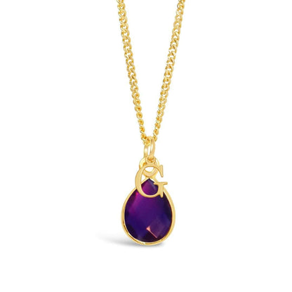 Amethyst Charm Necklace | Gold | February Birthstone