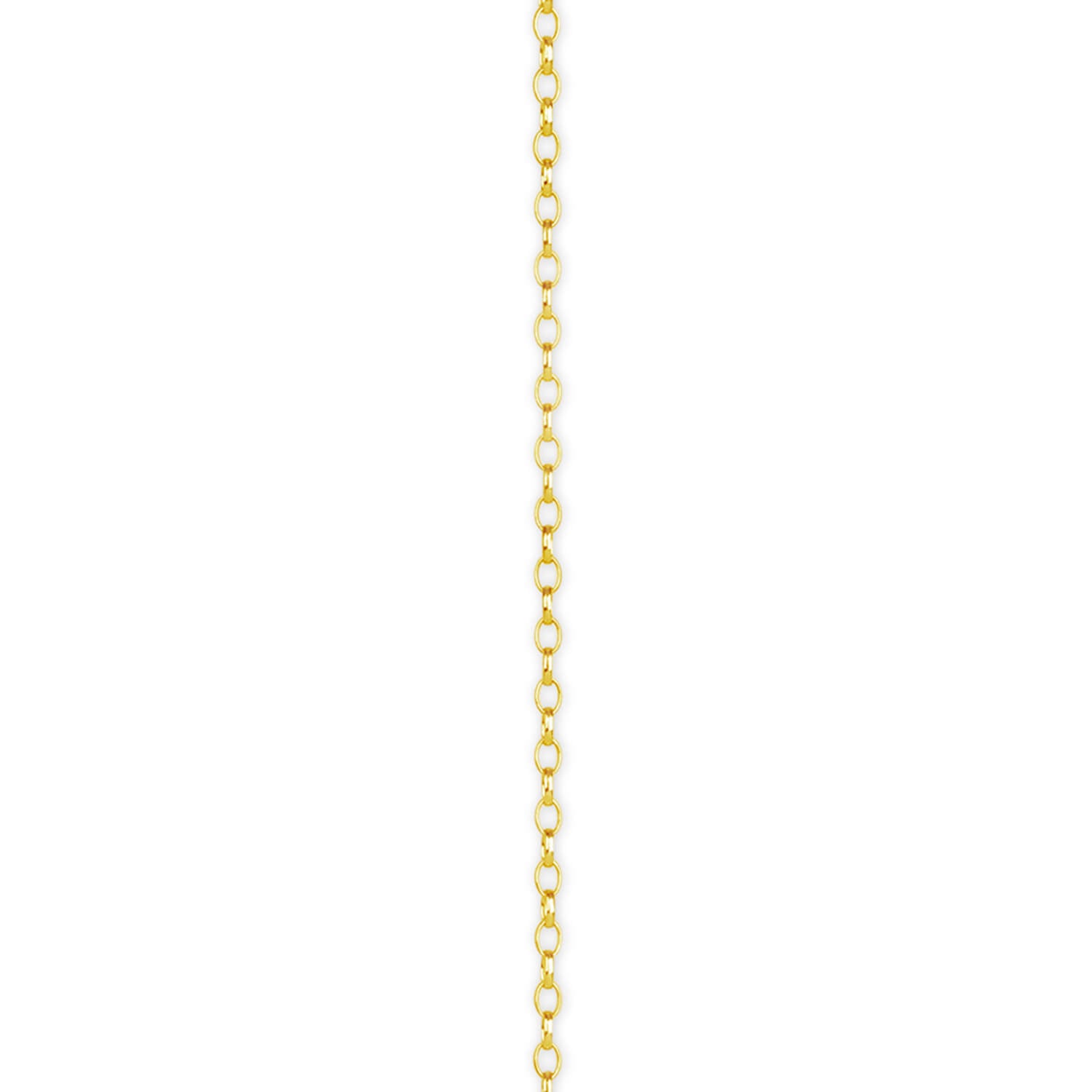Solid Gold Belcher chain detail of links on a white background