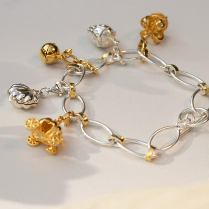 bracelet with five magical charms attached