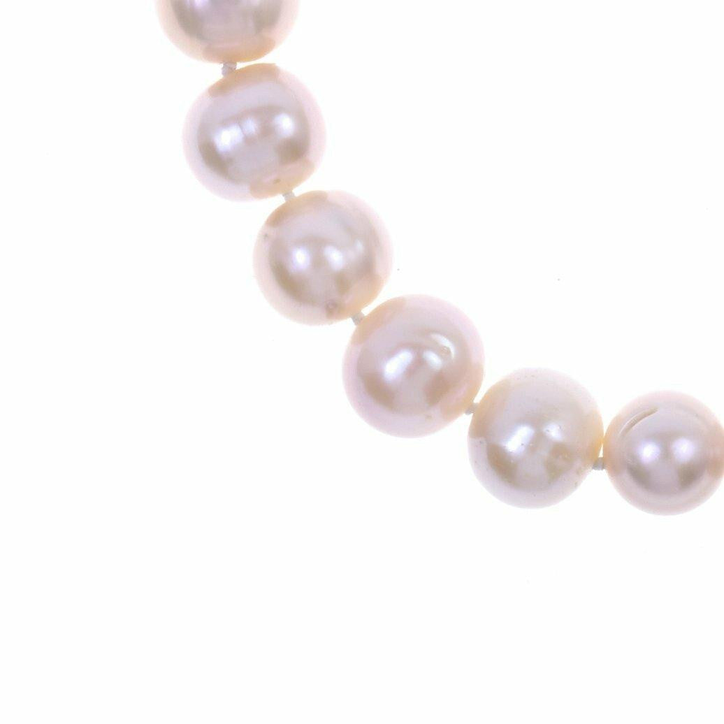 close up of classic pearl bracelet in champagne on a white background