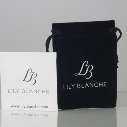 polish cloth and storage pouch on a white background