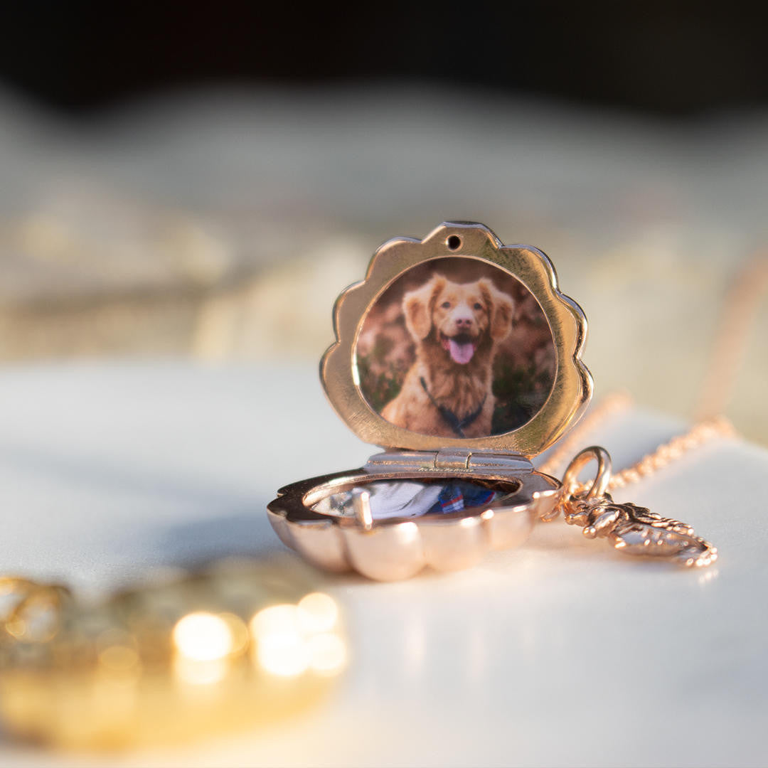 rose gold shell locket with rose gold seahorse charm and one photo fitted inside
