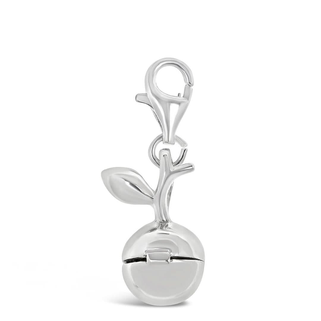 silver apple magical charm