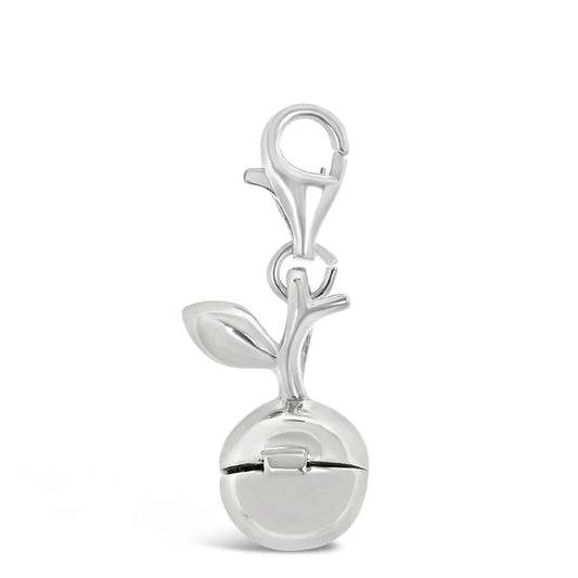 silver apple magical charm