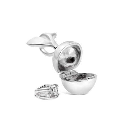 opened silver apple magical charm on a white background